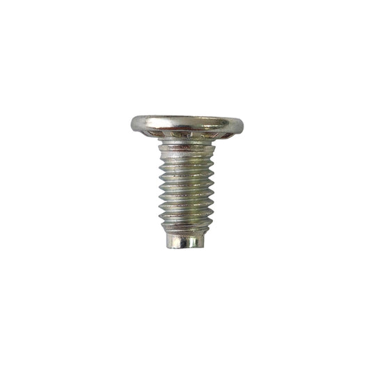 Rivet Bolts（Ask customer service for specific prices）Cross-slotted  Large flat head